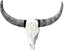 skull of cow