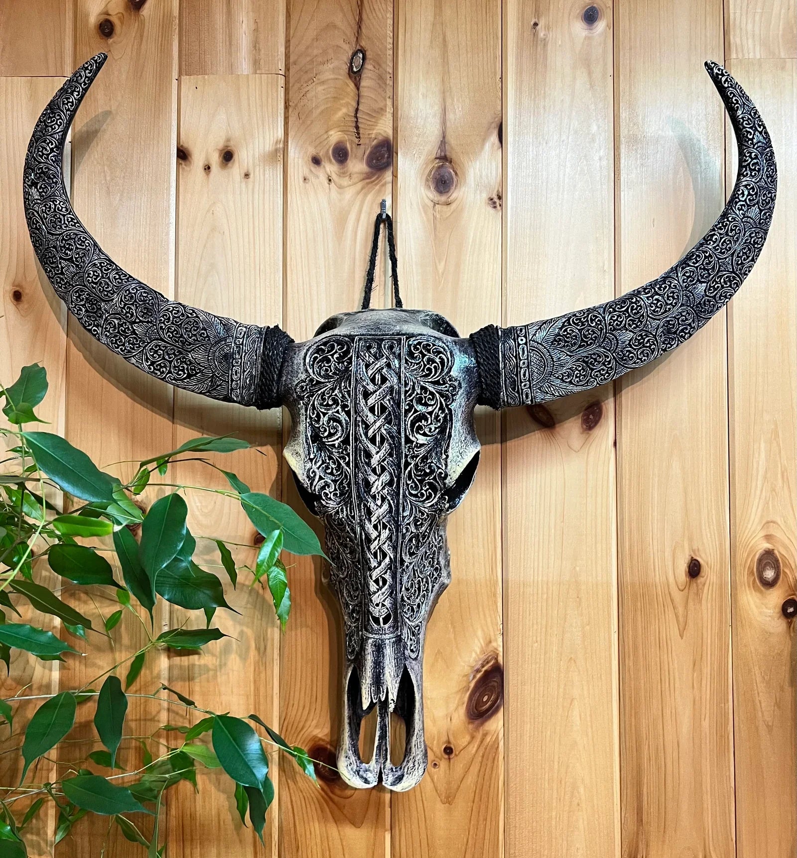 Antique Buffalo Skulls - What Makes Them Valuable for Collectors in the USA