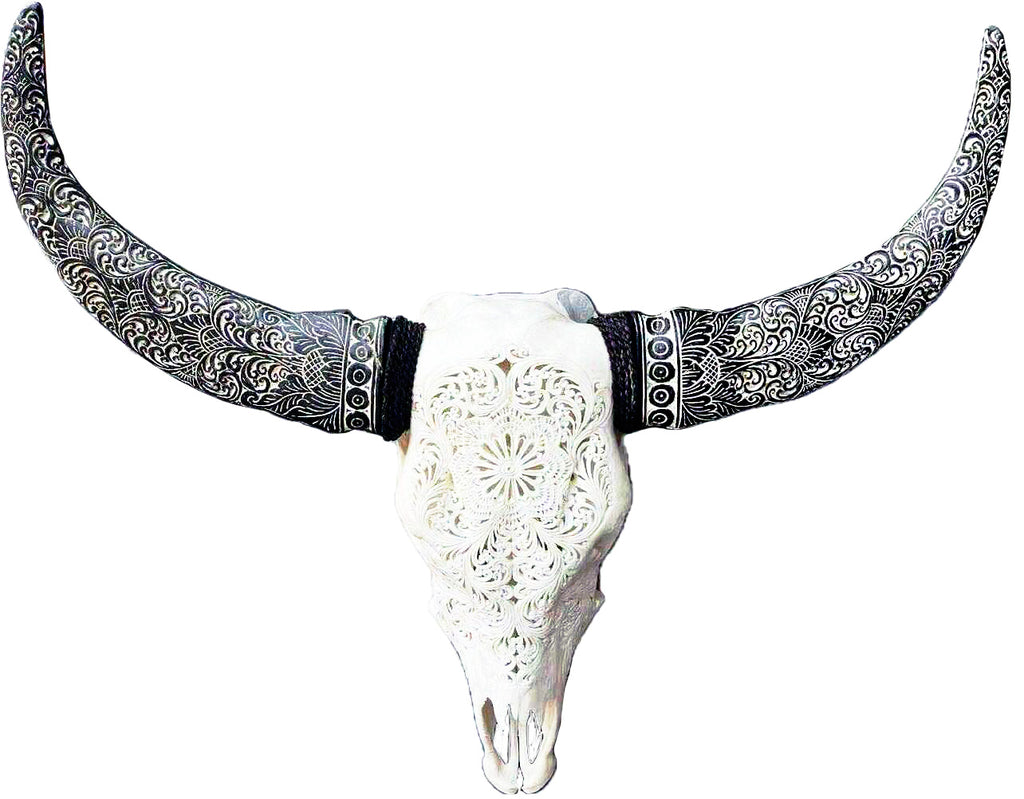 skull of cow
