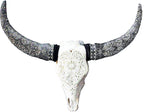skull of cow