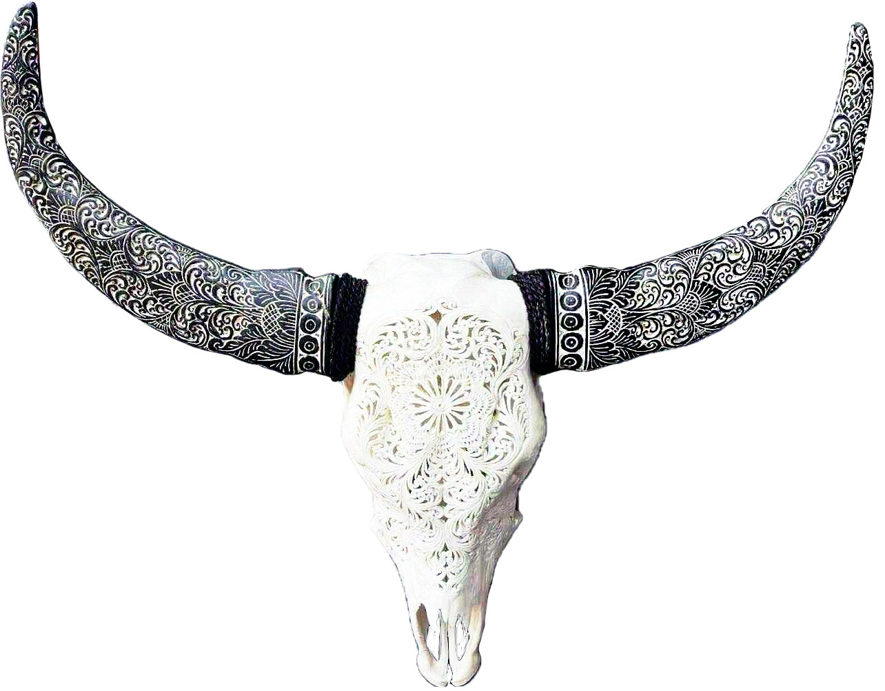 skull of cow