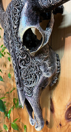 buffalo skull for wall