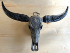 Black buffalo skull