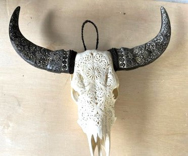 white buffalo skull